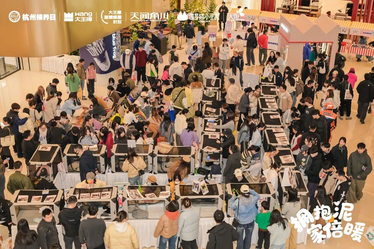 第66届杭州领养日，温暖猫屋和无数有爱的人撞了个满怀